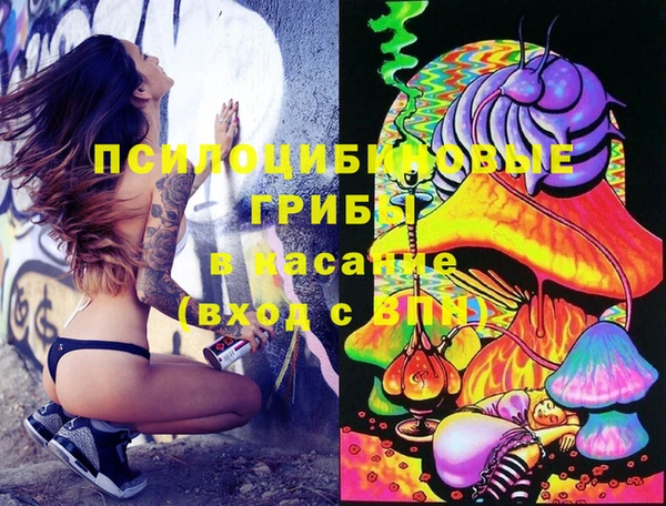 сатива Алексеевка
