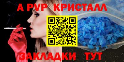герыч Кингисепп