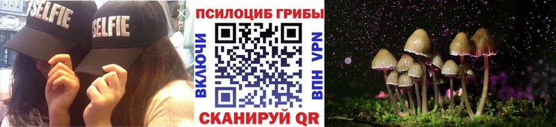 Псилоцибиновые грибы Psilocybe  Учалы 