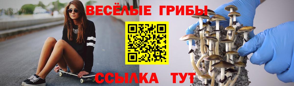 Учалы  Псилоцибиновые грибы MAGIC MUSHROOMS  где найти наркотики  Вход с VPN 