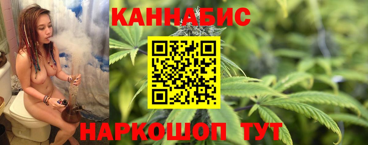 Каннабис White Widow  Канабис планчик  МАРИХУАНА сатива  Учалы  Вход с VPN 